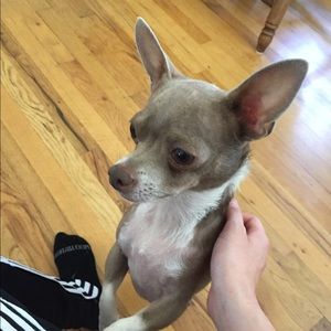 Meet your Posher, Madeline